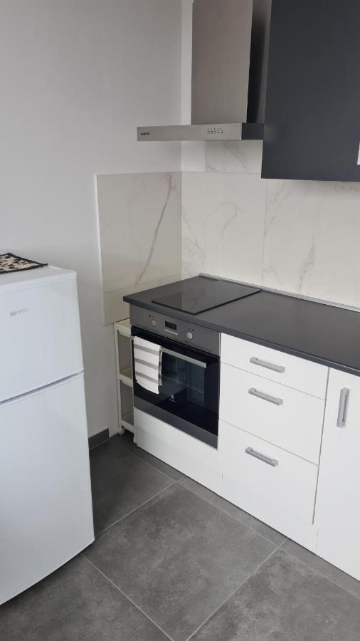 River 67 - Apartment In Rijeka Zewnętrze zdjęcie